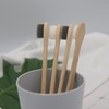 Yamajo Bamboo Toothbrushes (Set of 10), 100% Eco-friendly Organic Bamboo