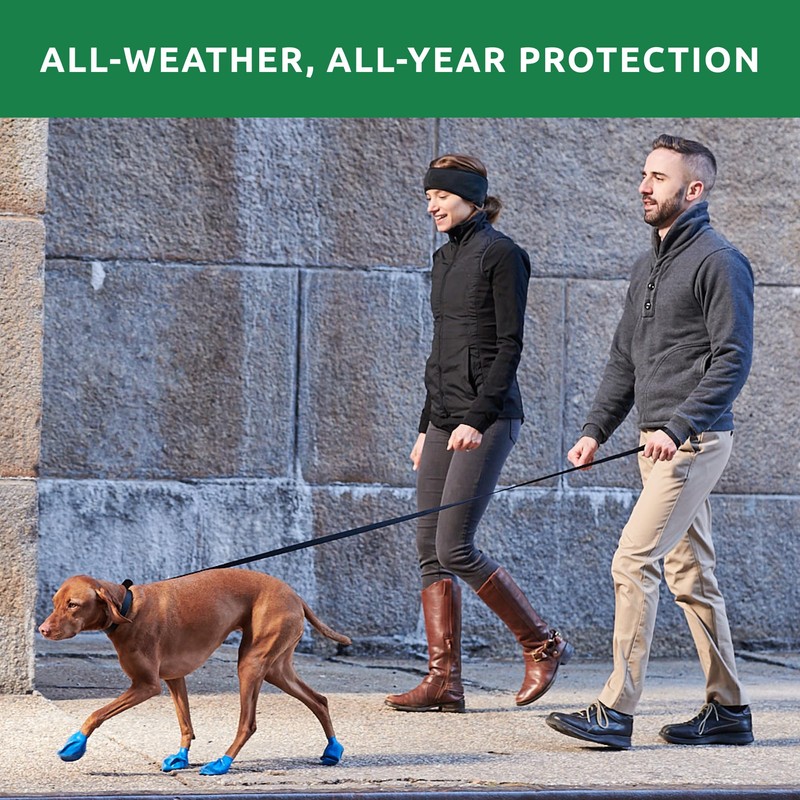 Pawz Pawz Dog Boot Tiny (12) Green(Lime green) Tiny