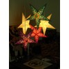 Earth Friendly Starlightz Taj Poinsettia 60 cm EarthFriendly + Wiring