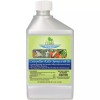 NATURAL GUARD ORGANIC CATERPILLAR KILLER TOMATO WORM GARDEN CONCENTRATE 16