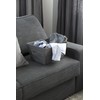 Bigso Box of Sweden Foldable Storage Box for Home and