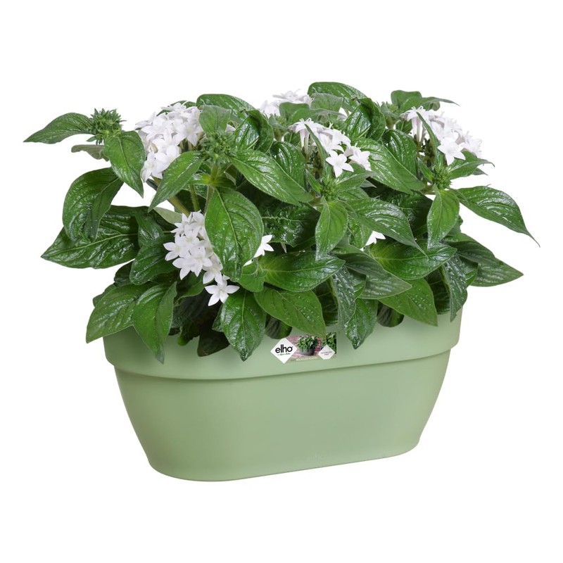 elho Vibia Campana Wall Basket 35 - Planter for Balcony