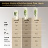 Grow Light with Auto-Timer, Hanging and Standing Grow Lights for