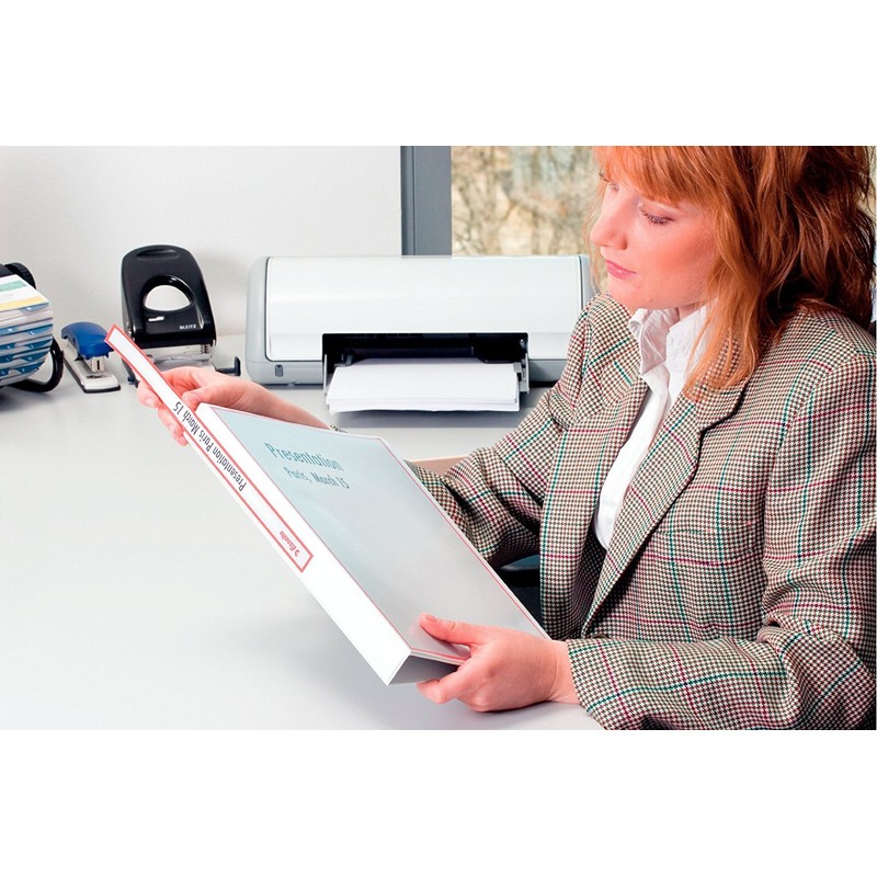 Esselte Presentation Ring Binder A4 Parent ASIN - DE(4)