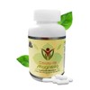 Fort Core - Akkermansia + Polifenoles - Suplemento Alimenticio -