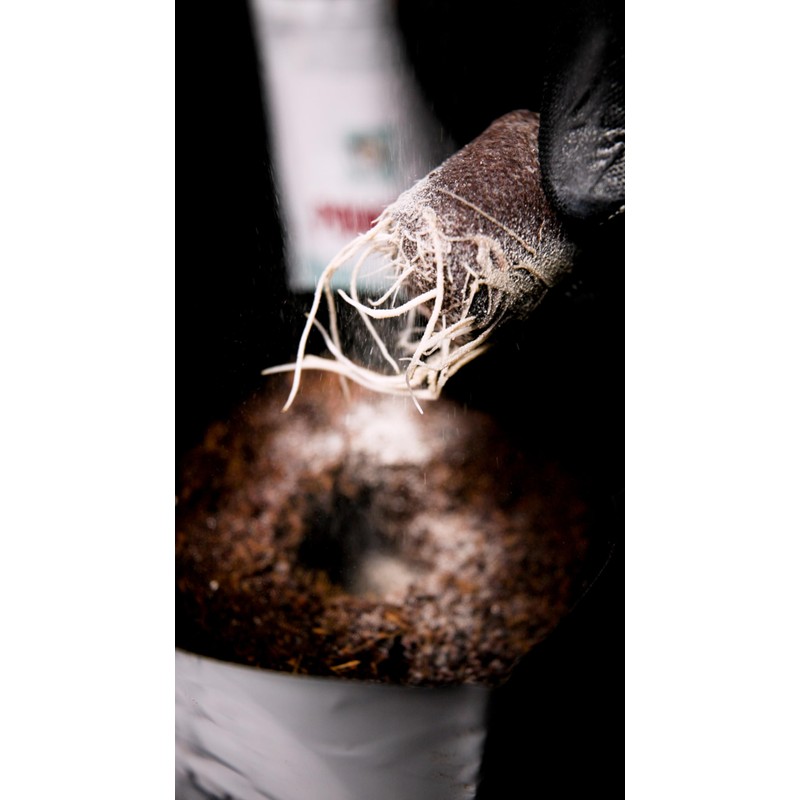 PowerSi Start 2lb – All-Natural Microbial Inoculant for Enhanced Root