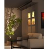PESUTEN Zoomable Spot Lights Indoor, Rechargeable Picture Light with Remote,