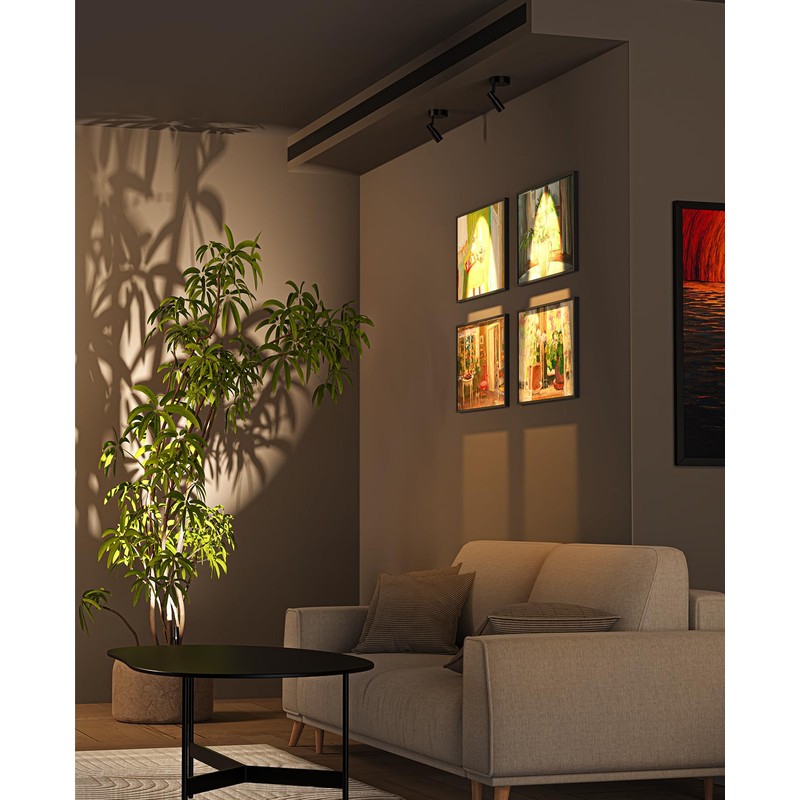 PESUTEN Zoomable Spot Lights Indoor, Rechargeable Picture Light with Remote,