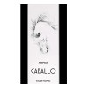 Caballo Armaf EDP 100ml – Perfume Árabe Masculino de Lujo