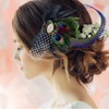 Fascinator Peacock Feather Hair Clip Headband