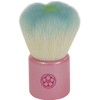 FWS – Bl 熊野 Brush Hex Theater Hall of Sakura Flower Face