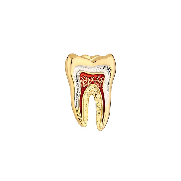 MODFOLY Dental Tooth Pin Tooth Anatomy Brooch for Dentist Doctor