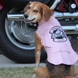 Biker Dawg Motorcycle Dog Jacket (Large, Pink)