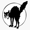 Anarchist Black Cat Waterproof Vinyl Window Bumper Sticker Decal 5"