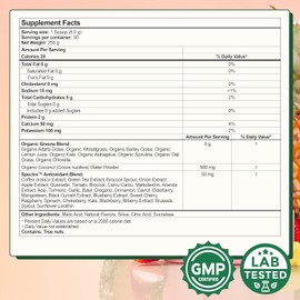 Kiala Nutrition Super Greens, Greens Powder with Spirulina & Chlorella for Digestion, Gut Health, Immunity & Energy, Gluten Free, Vegan, Daily Support for Women, Watermelon Slush, 30 Servings