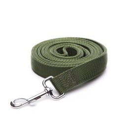 Strong Nylon Dog Leash 2-Layer, 4 FT to 7FT Long, 1 Inch Wide for Medium & Large Dogs (Green, 1" x 2 FT)