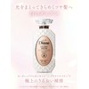 Diane Treatment [Glossy Hair] Floral Refill, 11.1 fl oz (330