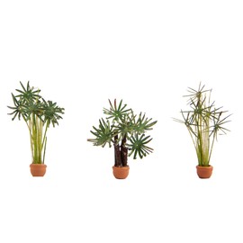 Noch 14024 Palms 3 pieces Coloured