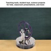 Low Temperature Stirling Engine Model Stainless Steel Base Anti Rust