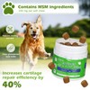 Advanced Hip and Joint Supplements for Dogs with Glucosamine, Chondroitin,