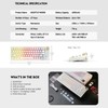 FANTECH MAXFIT67 3-Mode Custom Mechanical Gaming Keyboard RGB Backlit, 65%