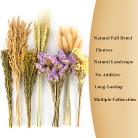 Sukh 60Pcs Nature Flower Herb Hamster Bedding - Cage Enclosure Habitat Decor Mate Small Animal Natural Ear of Grain Sprays for Syrian Dwarf Hamsters Gerbils Rabbit Other Pets