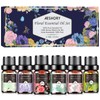Hotel Diffuser Oils Gift Set - 6x10ML Luxury Fragrance Oil