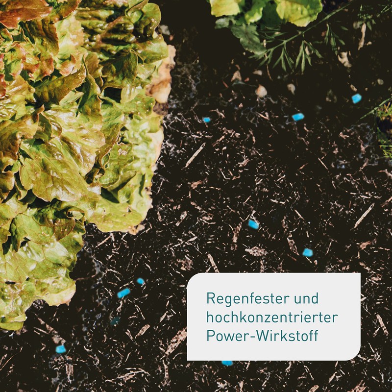 Plantura Organic Snail Grain Rainproof Power Agent Gentle on Pets