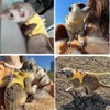 Anelekor Ferret Harness and Leash Set Small Animals Vest Harness