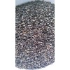 1 Lb. Buckwheat Wildlife Food Plot Seed Quail Ducks Geese