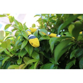 SWAXIGON Snake - Realistic Fake Rubber Snake Toy - Small Animals Figures Plastic Snakes - from 3 Years Children Gift 90 cm (Yellow)