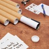 Stockroom Plus Cardboard Tubes - 12-Pack, 2 in x 15