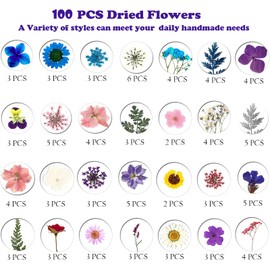100pcs Dried Pressed Flowers for Resin, Real Pressed Flowers Dry Leaves Bulk Natural Herbs Kit for Scrapbooking DIY Art Crafts, Epoxy Resin Jewelry, Candle, Soap Making, Nails Décor (Set B)