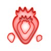 Custom Cutters Strawberry Shape Cutters | Set of 5 Plastic