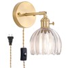 Shenmoyl Plug in Wall Sconce, Transparent Tulip Glass Lampshade Wall