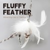 SONGWAY Cat Wand Toys for Indoor Cats - Cat Feather