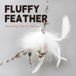 SONGWAY Cat Wand Toys for Indoor Cats - Cat Feather Toys with Retractable Cat Stick and 6 PCS Feather Cat Toy Refills, Dragonfly Tassel Cat Toys Interactive, Black