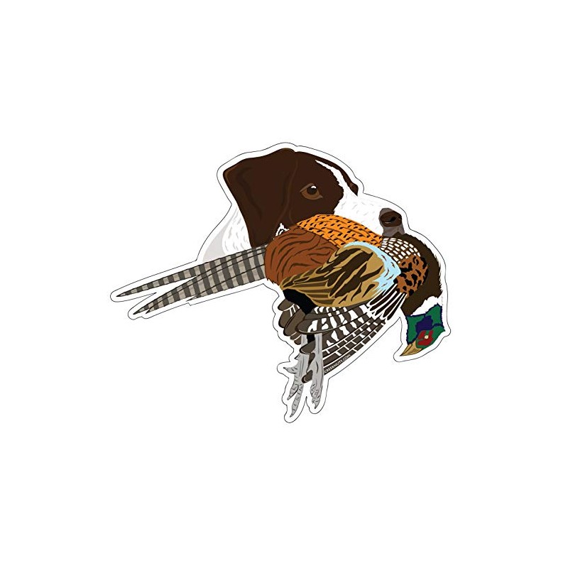 German Shorthaired Pointer with Pheasant Sticker Decal