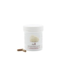 Hawlik Gesundheitsprodukte - Hericium Extrakt - Vitalpilze - 1258