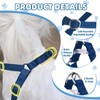PUPTECK Dog Harness and Leash Set Small Sized, Step-in Cute