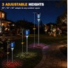 All in 1 Solar Bug Zapper Outdoor, Flame & Projection