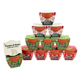 Buzzy Seeds Holiday Sweater Terracotta Mini Grow Pots | Assorted 12-Pack | Christmas Basil, Spruce, Alyssum | Herb Starter Kit for Kids & Adults | Guaranteed To Grow | Gifts, Favors, Stocking Stuffers