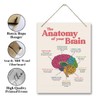 Brain Anatomy Wood Sign, 10*7.9 inches, Modern Art Decor, Hanging