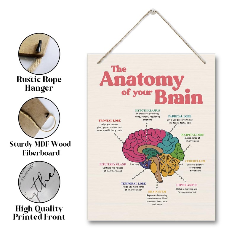 Brain Anatomy Wood Sign, 10*7.9 inches, Modern Art Decor, Hanging