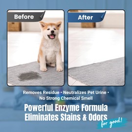 Bioclean Pet by Harvest and Home Carpet Cleaner - Stain and Odor Treatment | Neutralizes Pet Urine and Eliminates Odor & Residue, Made in The USA - 16oz