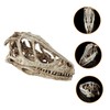 VILLFUL Unique Dinosaur Skull Model Skull Specimen Attractive Design for