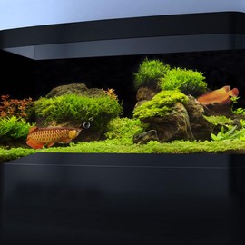 Pinpai 30X12 Inches Fish Aquarium Background, Black River Bed & Lake Aquatic Plant Terrarium Background Decor, Moss Grass Landscape Durable Polyester Background with 8 EVA Double-Sided Tapes