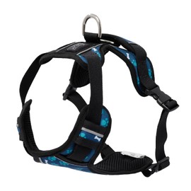 TOTTO - Heikul Dog Chest Harness, Small Dog Harness, Adjustable, Reflective Details, Loop and Handle, Easy to Fit, Lightweight with Blue and Green