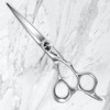 Titan Scissors | Offset Hair Cutting Japanese Style Scissors |