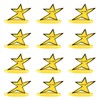 Landical 12 Pcs Funny Star Trophy Bulk with Humorous Your